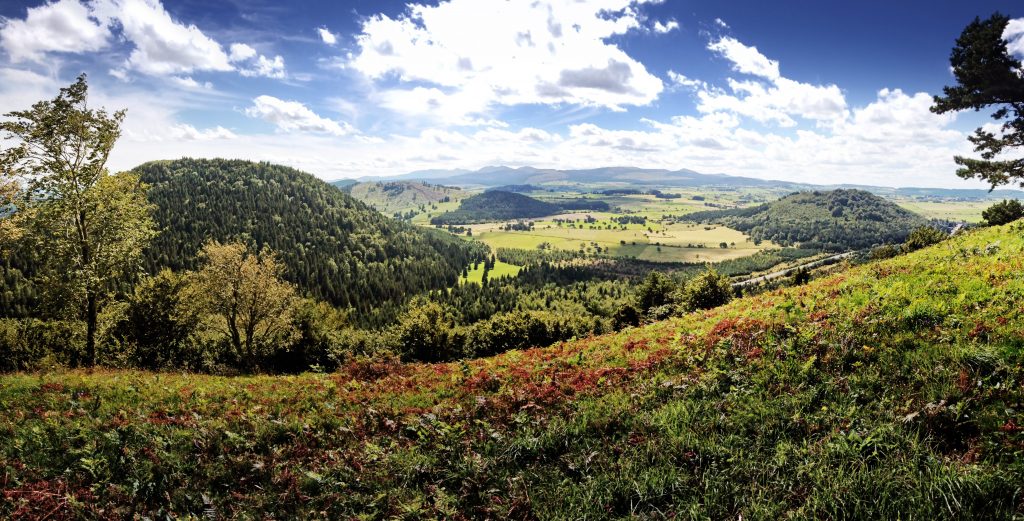 View from the top of the Puy Vichatel ©A.Sauvanot